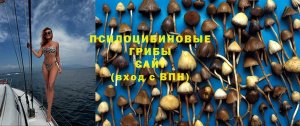 СК Армянск