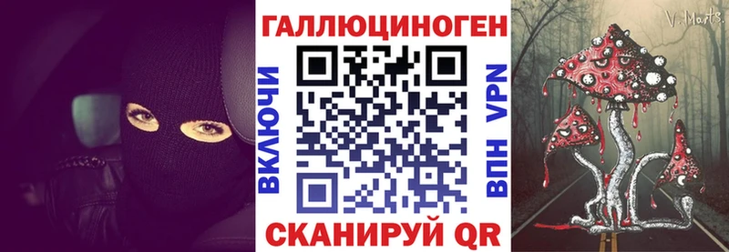 Псилоцибиновые грибы Psilocybe  купить  цена  KRAKEN ONION  Ахтубинск 
